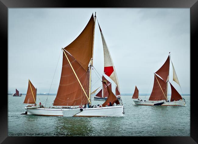 Thames sailing barges racing off Southend on Sea, Thames Estuary, Essex. Framed Print by Peter Bolton
