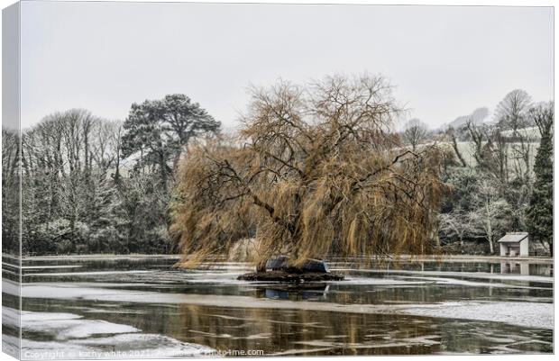 weeping willow ,Helston Boating lake Canvas Print by kathy white