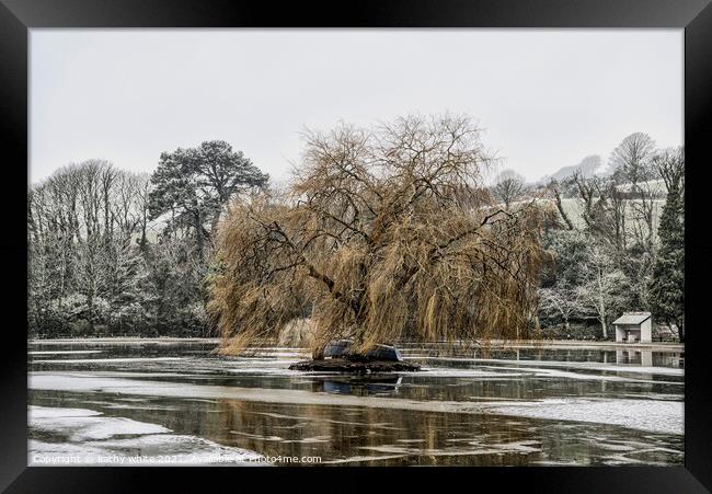 weeping willow ,Helston Boating lake Framed Print by kathy white