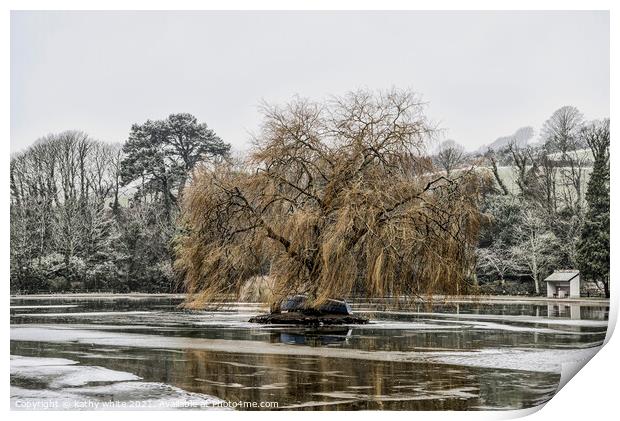 weeping willow ,Helston Boating lake Print by kathy white
