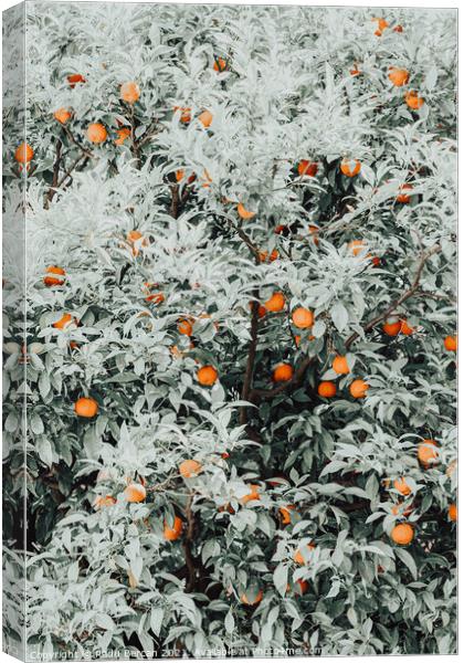 Orange Fruits Print, Citrus Fruit Pattern Print Canvas Print by Radu Bercan
