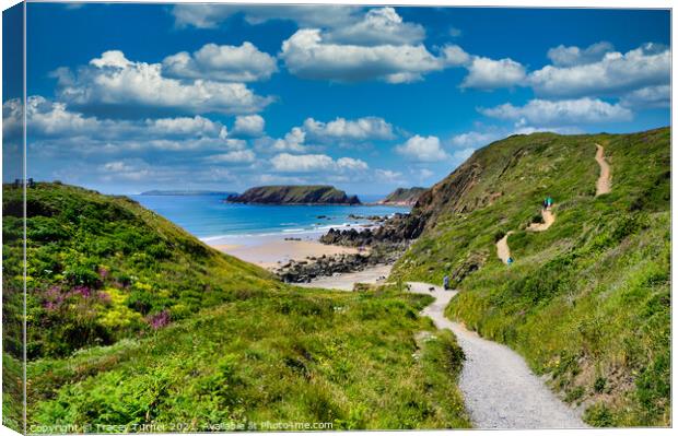 Marloes Beach in Pembrokeshire Canvas Print by Tracey Turner
