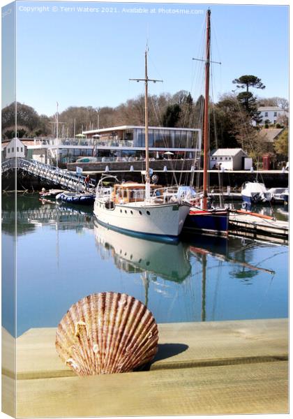 Mylor Marina Shell Canvas Print by Terri Waters