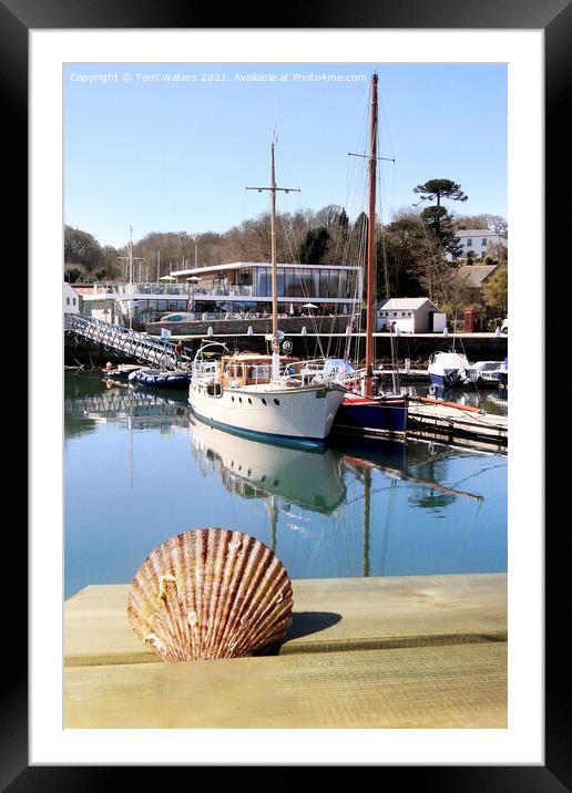 Mylor Marina Shell Framed Mounted Print by Terri Waters