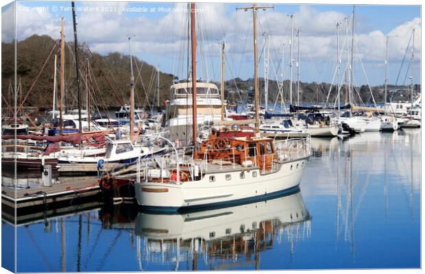 Mylor Masts Canvas Print by Terri Waters