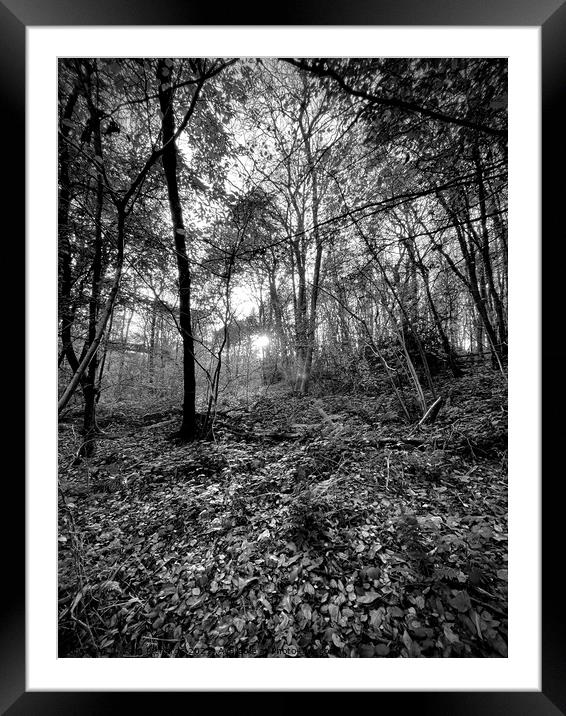 The distant Sun Framed Mounted Print by Colin Richards