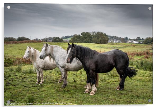 A herd of wild horses, in the Welsh landscape. It is autumn and the sky is cloudy	 Acrylic by Gary Parker