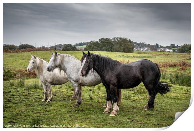 A herd of wild horses, in the Welsh landscape. It is autumn and the sky is cloudy	 Print by Gary Parker
