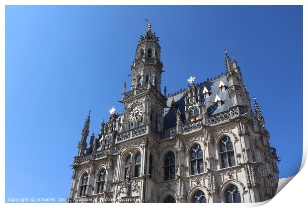 Oudenaarde Gothic Town Hall Belgium Print by Imladris 