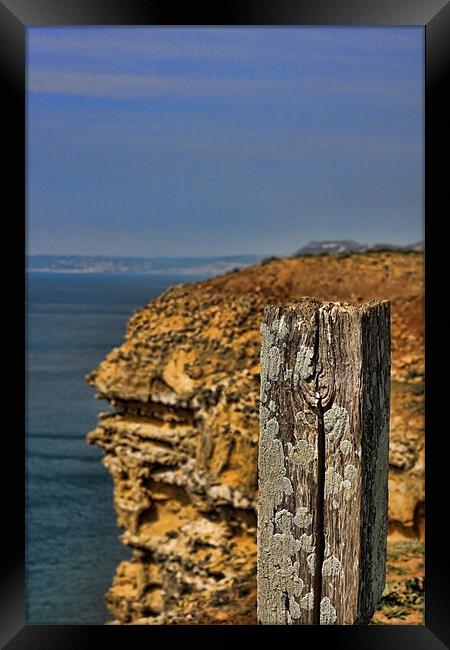 Cliff Path, West Bay, Dorset Framed Print by Phil Hall