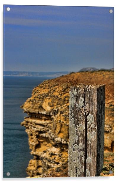 Cliff Path, West Bay, Dorset Acrylic by Phil Hall