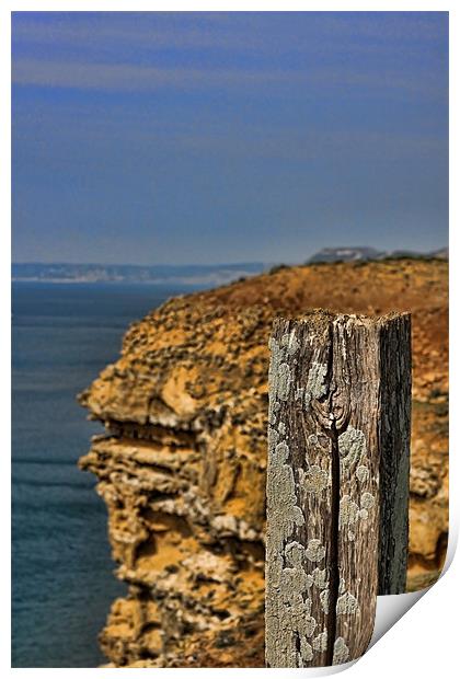 Cliff Path, West Bay, Dorset Print by Phil Hall