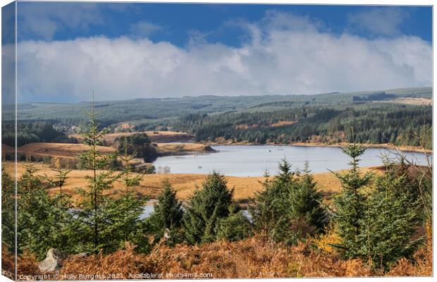 Kielder Water, Northumberland Biggest man made woodland in Europe  Canvas Print by Holly Burgess