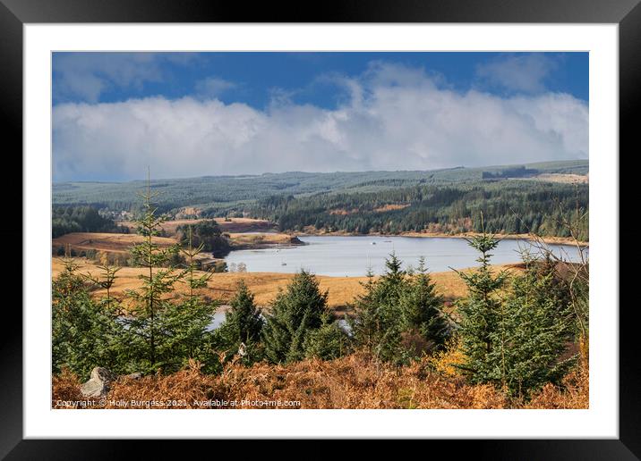 Kielder Water, Northumberland Biggest man made woodland in Europe  Framed Mounted Print by Holly Burgess