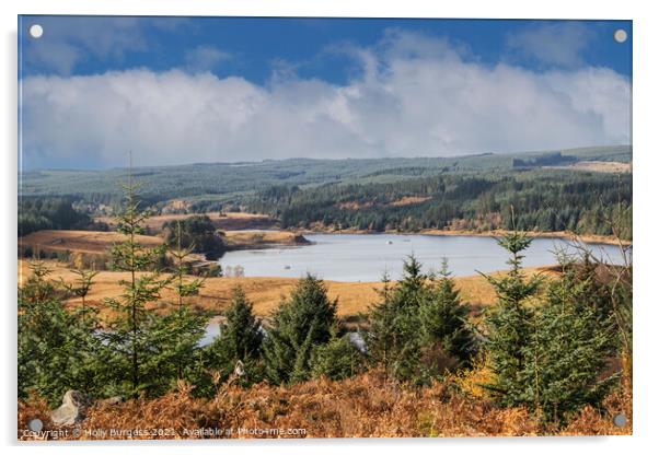 Kielder Water, Northumberland Biggest man made woodland in Europe  Acrylic by Holly Burgess