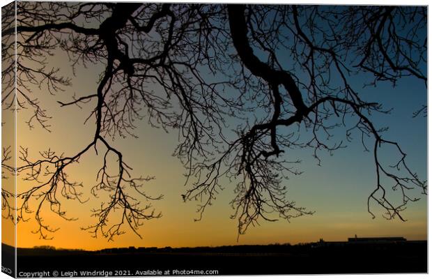 Silhouettes and Sunset Colours Canvas Print by Leigh Windridge