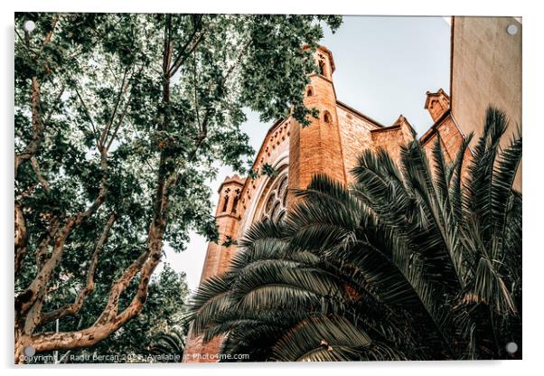 Palm Trees In Barcelona City, Spain Acrylic by Radu Bercan