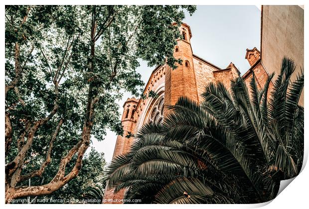 Palm Trees In Barcelona City, Spain Print by Radu Bercan