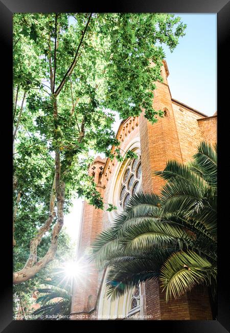 Palm Trees In Barcelona City, Spain Framed Print by Radu Bercan