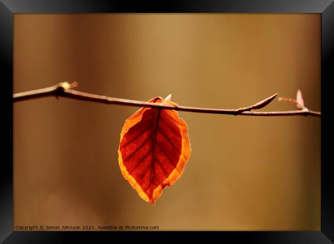 last leaf Framed Print by Simon Johnson