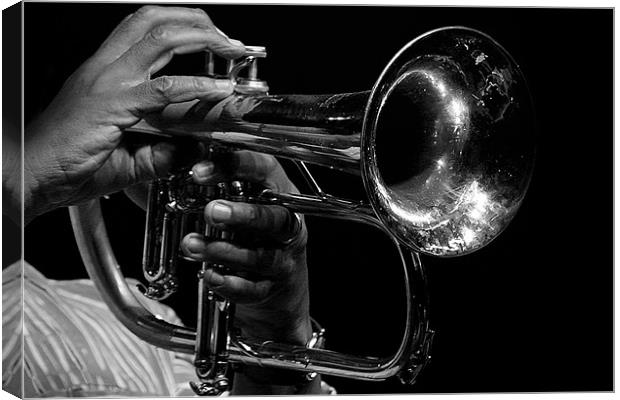 The Trumpet / flugelhorn player Canvas Print by Hush Naidoo
