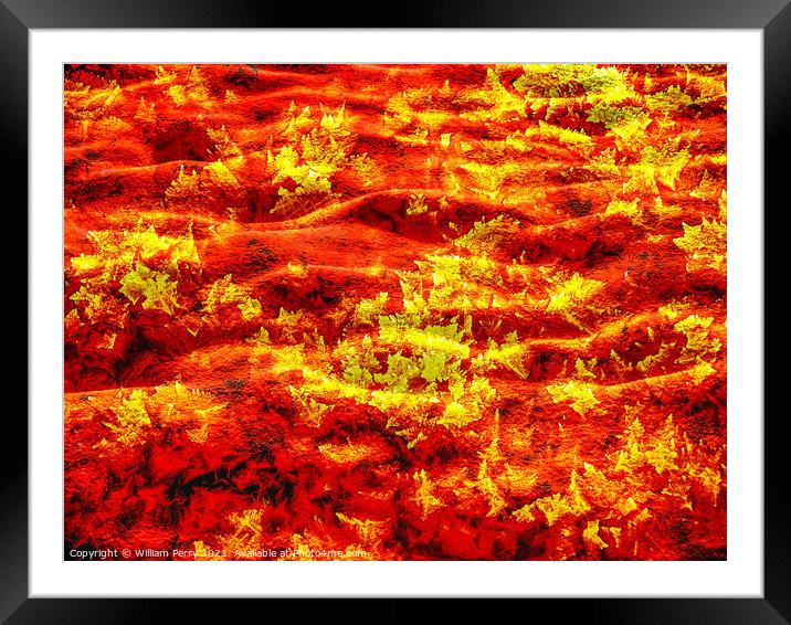 Orange Yellow Glycine Crystals Chemical Abstract Framed Mounted Print by William Perry