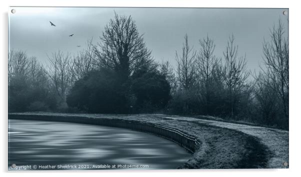 Winter canal landscape Acrylic by Heather Sheldrick