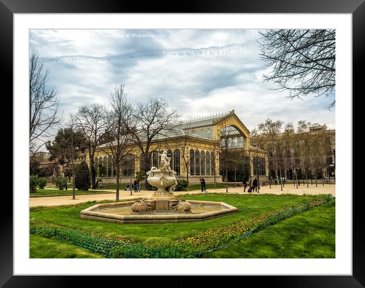Tropical greenhouse in the Parc de la Ciutadella, Barcelona Framed Mounted Print by Frank Bach
