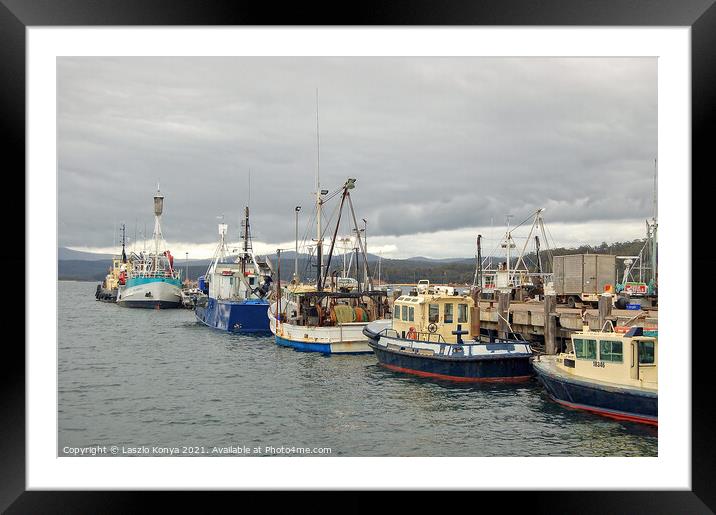 Fishing fleet in Port of Eden Marina Framed Mounted Print by Laszlo Konya