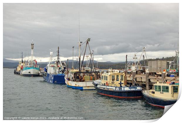 Fishing fleet in Port of Eden Marina Print by Laszlo Konya