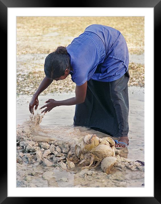 bury coconut husk Framed Mounted Print by Hassan Najmy