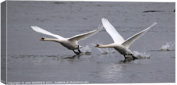 All Clear for Takeoff. Canvas Print by ANN RENFREW