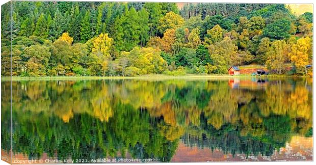 Loch Alvie Reflections Canvas Print by Charles Kelly