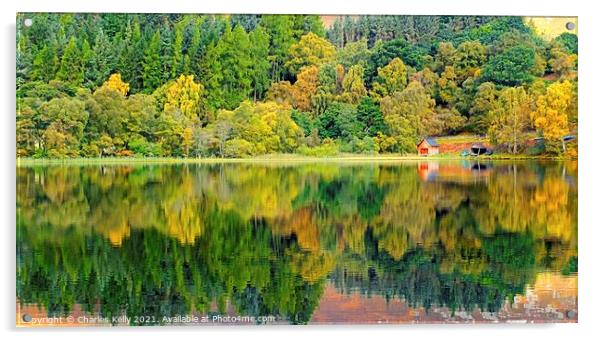 Loch Alvie Reflections Acrylic by Charles Kelly