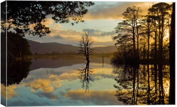 Loch Mallachie, Cairngorms at Sunset Canvas Print by David Ross