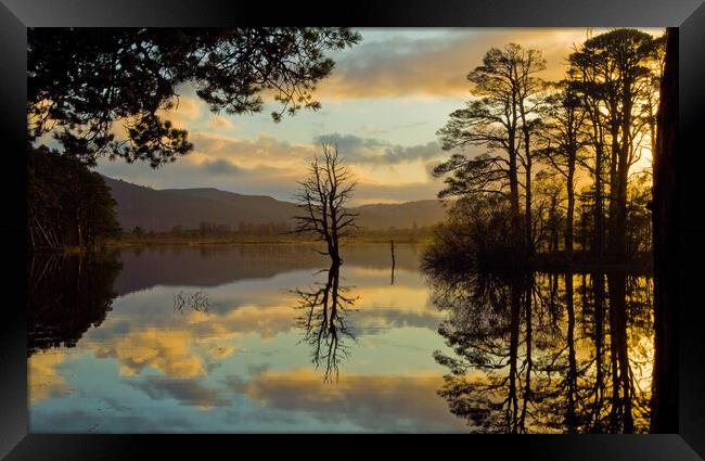 Loch Mallachie, Cairngorms at Sunset Framed Print by David Ross