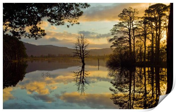 Loch Mallachie, Cairngorms at Sunset Print by David Ross