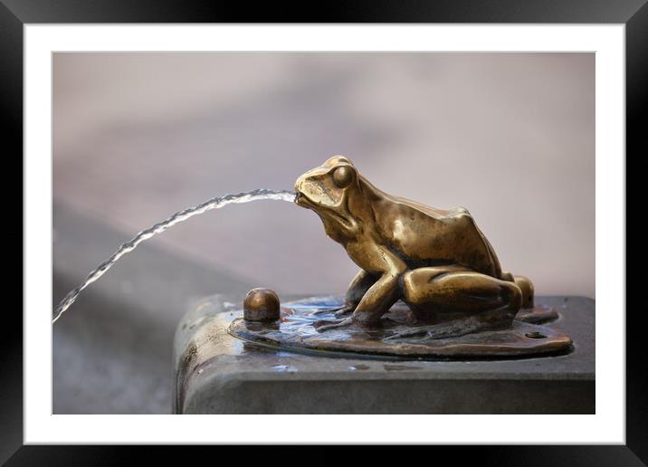 Frog Sculpture Pouring Water Fountain Detail Framed Mounted Print by Artur Bogacki