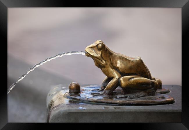 Frog Sculpture Pouring Water Fountain Detail Framed Print by Artur Bogacki