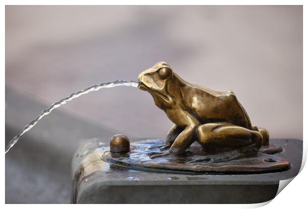 Frog Sculpture Pouring Water Fountain Detail Print by Artur Bogacki