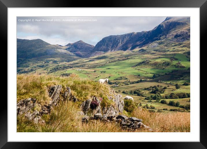 Cwm Pennant Valley in Snowdonia Framed Mounted Print by Pearl Bucknall