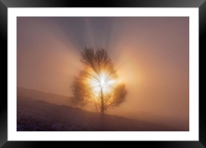 The Tree of Life. Peak District sunrise Framed Mounted Print by John Finney