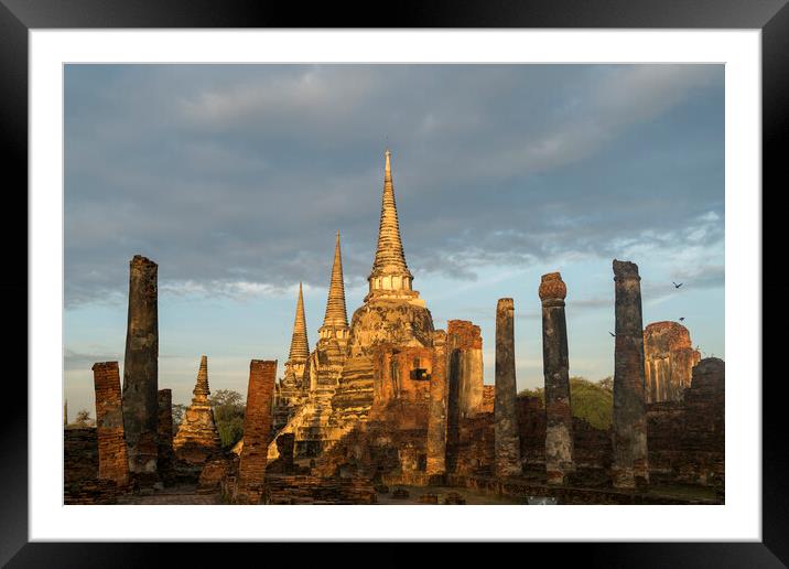 Ayutthaya Historical Park, Thailand Framed Mounted Print by peter schickert