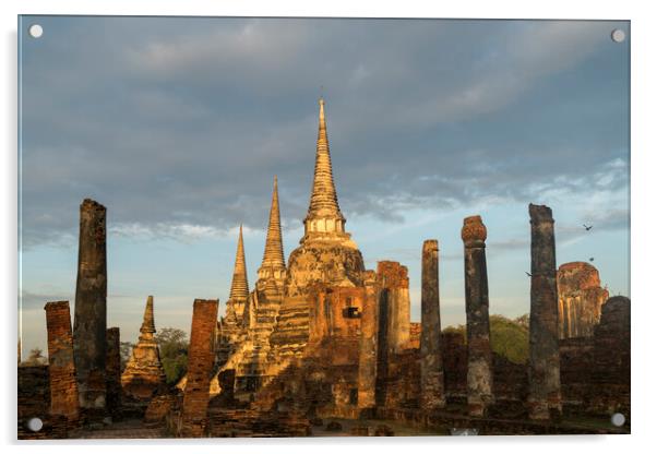 Ayutthaya Historical Park, Thailand Acrylic by peter schickert