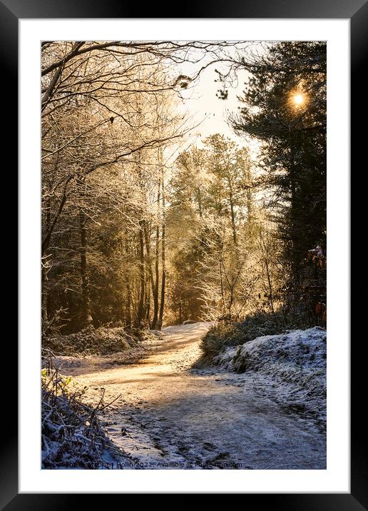 Snowy path Framed Mounted Print by Stephen Hollin