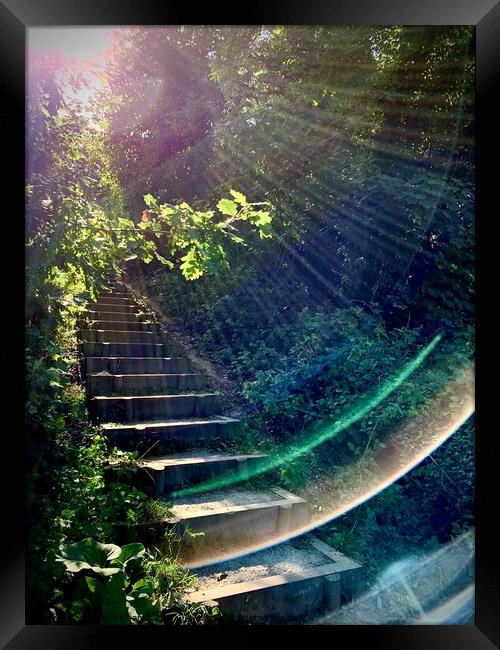 Stairway  Framed Print by Colin Richards