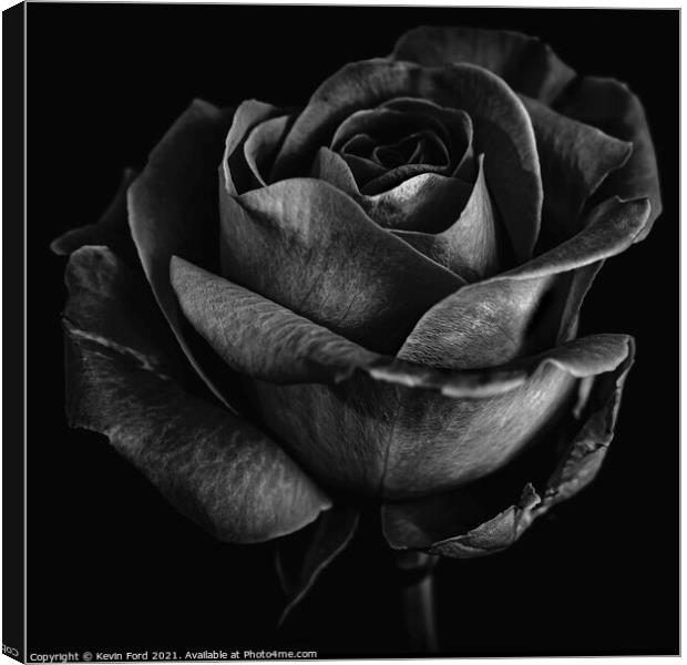 Black Rose Canvas Print by Kevin Ford