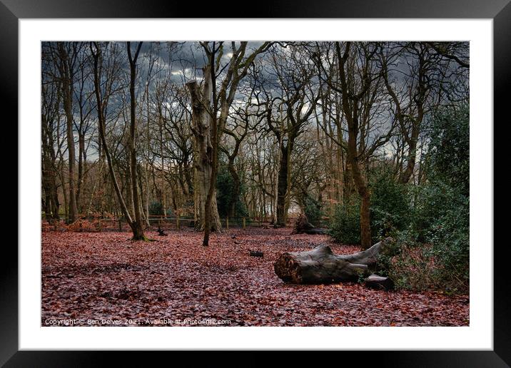 Serene Winter Woodland Framed Mounted Print by Ben Delves