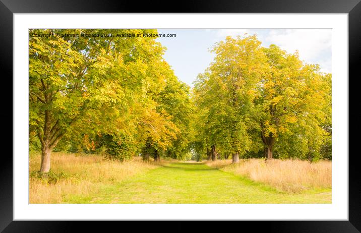 An Autumnal Walk In The Kent Countryside  Framed Mounted Print by Stewart Nicolaou