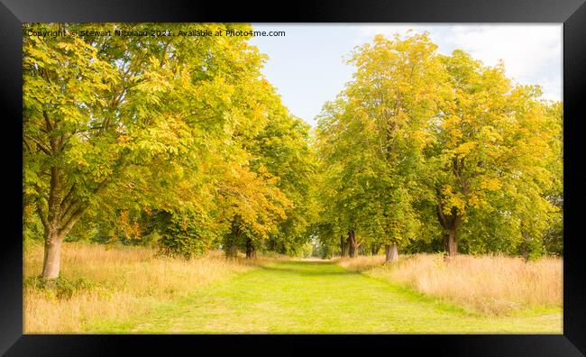 An Autumnal Walk In The Kent Countryside  Framed Print by Stewart Nicolaou